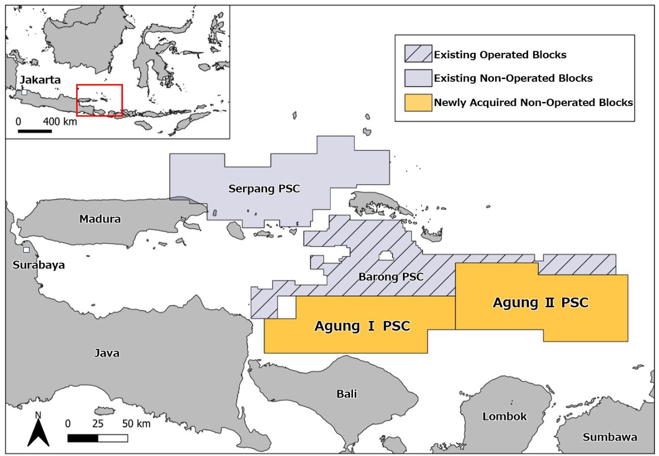 Inpex broadens its Southeast Asian horizons with two offshore blocks