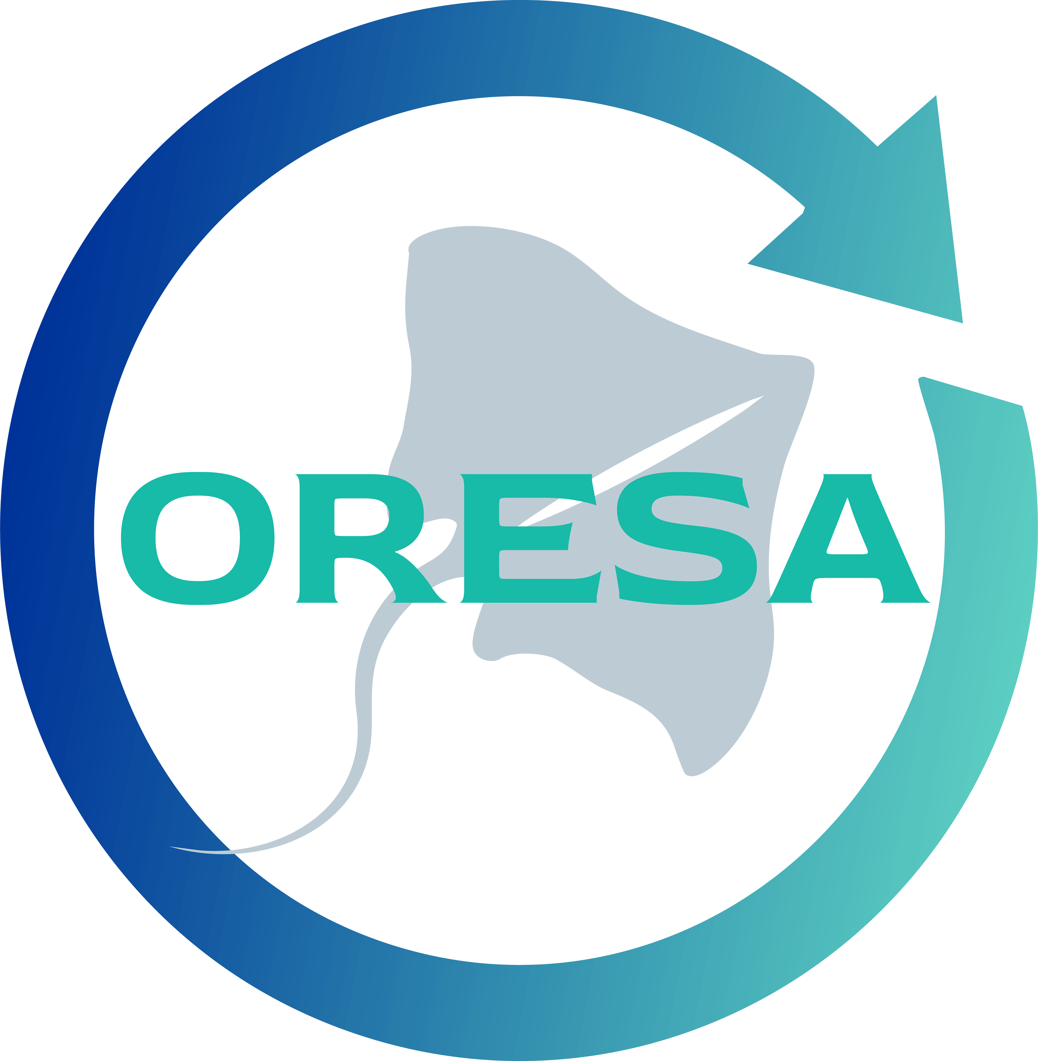 ORESA: Offshore Renewable Energy Sustainability Alliance
