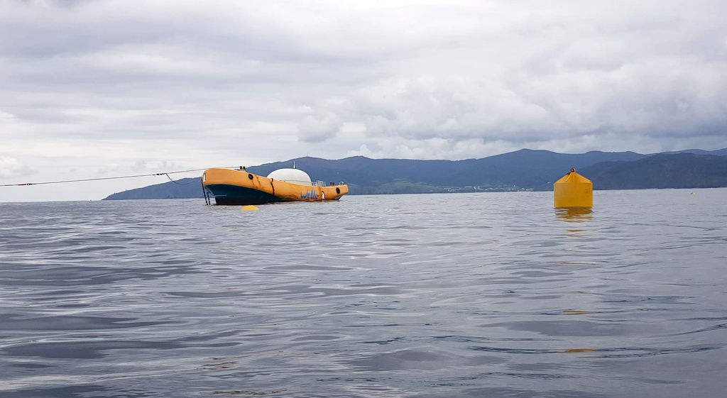 Penguin wave energy device moored offshore (Courtesy of Wello)